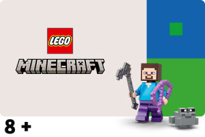 LEGO® Minecraft™