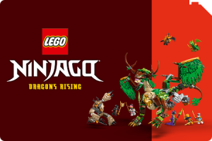 LEGO® NINJAGO®