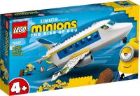 Minions Flugzeug