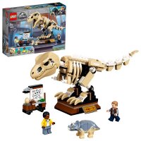 T. Rex-Skelett in der Fossilienausstellung