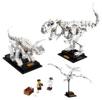 Dinosaurier-Fossilien