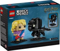 Luna Lovegood & Thestral