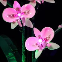 Beleuchtungsset für: Orchid