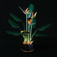 Beleuchtungsset für: Bird of Paradise