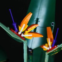 Beleuchtungsset für: Bird of Paradise