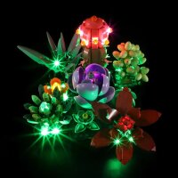 Beleuchtungsset f&uuml;r: Succulents