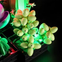 Beleuchtungsset für: Succulents