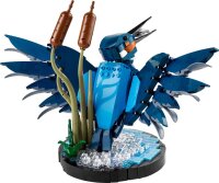 Eisvogel