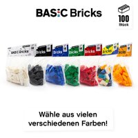 Original LEGO Basic Bricks | 100 PCS 2x4 Stein (3001)