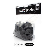 Original LEGO Basic Bricks | 100 PCS 2x4 Stein (3001) Schwarz