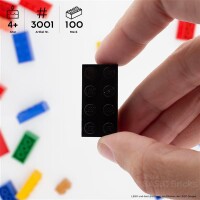 Original LEGO Basic Bricks | 100 PCS 2x4 Stein (3001) Schwarz