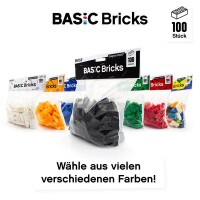 Original LEGO Basic Bricks | 100 PCS 2x4 Stein (3001) Schwarz
