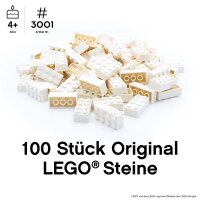 Original LEGO Basic Bricks | 100 PCS 2x4 Stein (3001)...