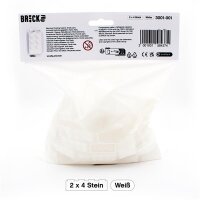 Original LEGO Basic Bricks | 100 PCS 2x4 Stein (3001) Weiß