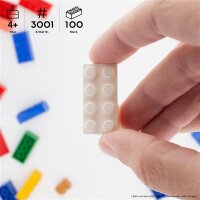 Original LEGO Basic Bricks | 100 PCS 2x4 Stein (3001) Weiß