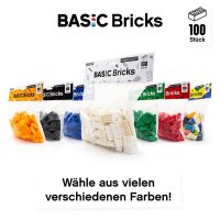 Original LEGO Basic Bricks | 100 PCS 2x4 Stein (3001) Weiß