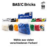 Original LEGO Basic Bricks | 100 PCS 2x4 Stein (3001) Blau