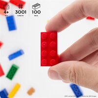 Original LEGO Basic Bricks | 100 PCS 2x4 Stein (3001) Mixed