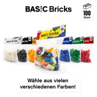 Original LEGO Basic Bricks | 100 PCS 2x4 Stein (3001) Mixed
