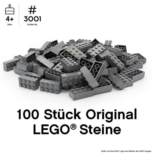 Original LEGO Basic Bricks | 100 PCS 2x4 Stein (3001) Dunkelgrau