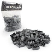 Original LEGO Basic Bricks | 100 PCS 2x4 Stein (3001) Dunkelgrau