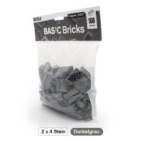 Original LEGO Basic Bricks | 100 PCS 2x4 Stein (3001) Dunkelgrau