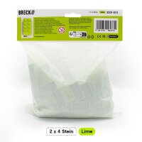 Original LEGO Basic Bricks | 100 PCS 2x4 Stein (3001) Lime