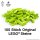 Original LEGO Basic Bricks | 100 PCS 2x4 Stein (3001) Lime