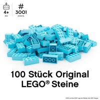 Original LEGO Basic Bricks | 100 PCS 2x4 Stein (3001)...