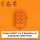 Original LEGO Basic Bricks | 100 PCS 2x4 Stein (3001) Orange