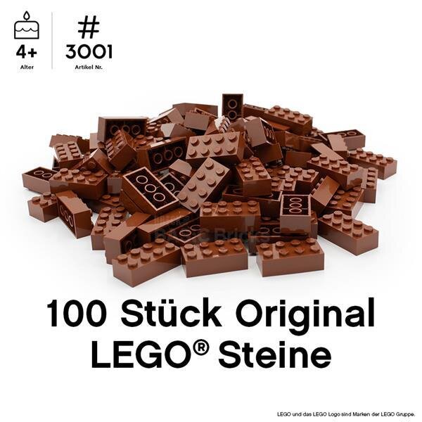 Original LEGO Basic Bricks | 100 PCS 2x4 Stein (3001) Reddish Brown