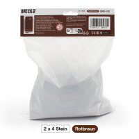 Original LEGO Basic Bricks | 100 PCS 2x4 Stein (3001) Reddish Brown