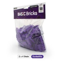 Original LEGO Basic Bricks | 100 PCS 2x4 Stein (3001) Violett