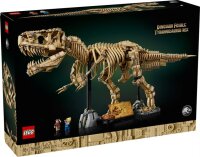 Dinosaurier-Fossilien: Tyrannosaurus rex