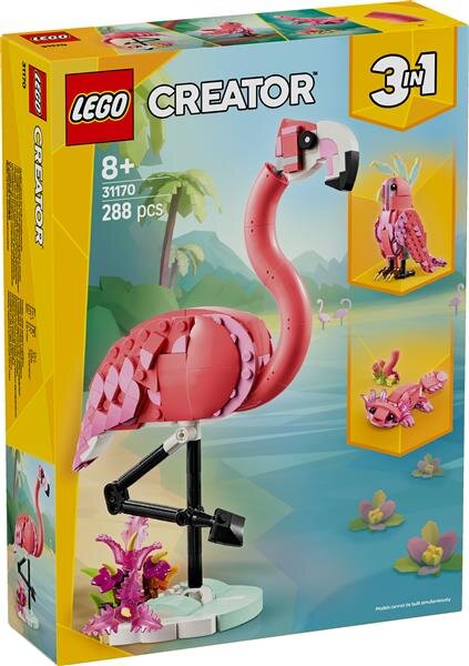 Wilde Tiere: Rosa Flamingo