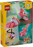 Wilde Tiere: Rosa Flamingo