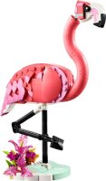 Wilde Tiere: Rosa Flamingo