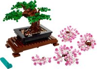 Bonsai Baum