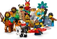 LEGO Minifiguren Serie 21