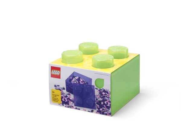 Stein-Aufbewahrungsbox | Transparent Grün