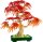Japanischer Roter Ahorn – Bonsai-Baum