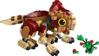 Babydinosaurier Dolores: Aquilops