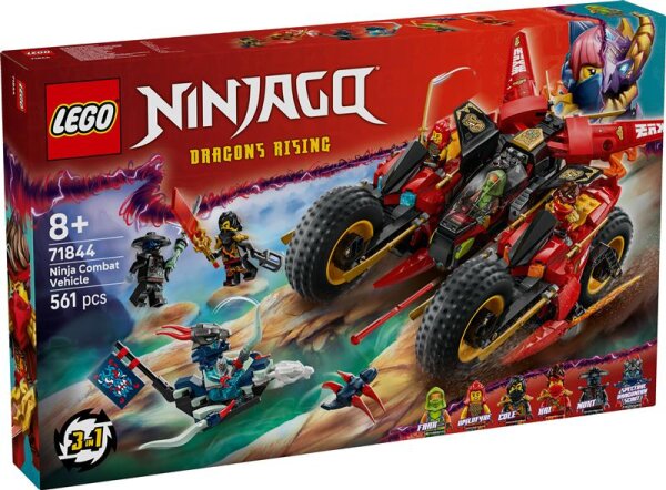 Ninja-Actionflitzer