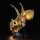 Beleuchtungsset für: 76969 Dinosaurier-Fossilien: Triceratops-Schädel