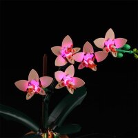 Beleuchtungsset für: 10343 Mini-Orchidee