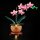 Beleuchtungsset für: 10343 Mini-Orchidee
