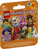 Minifiguren Serie 29