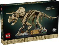 Dinosaurier-Fossilien: Triceratops