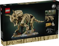 Dinosaurier-Fossilien: Triceratops