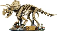 Dinosaurier-Fossilien: Triceratops